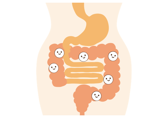 乳酸菌を生きて腸まで届けるためには○○が有効？