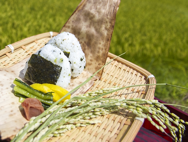 ユネスコ無形文化遺産にも登録！日本の和食が健康的である理由とは