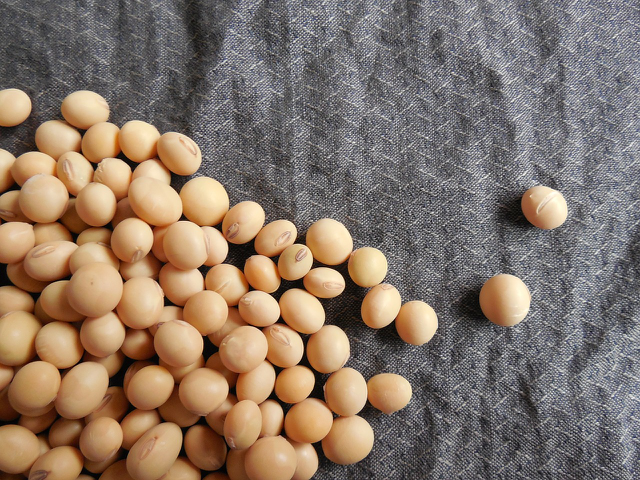 【発見】「大豆イソフラボン」は、味噌の中で進化していた！